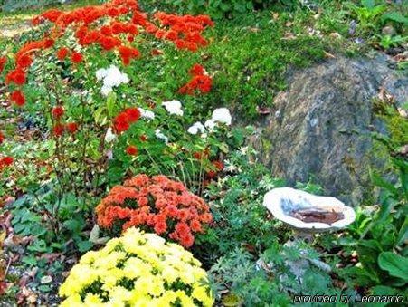 Birch Ridge Inn Killington Ngoại thất bức ảnh